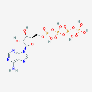 molecular formula C10H17N5O16P4 B089811 四磷酸腺苷 CAS No. 1062-98-2