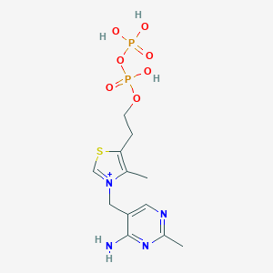molecular formula C12H19N4O7P2S.Cl<br>C12H19ClN4O7P2S B091667 Thiamine pyrophosphate hydrochloride CAS No. 136-08-3