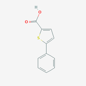molecular formula C11H8O2S B091772 5-Phenylthiophene-2-carboxylic acid CAS No. 19163-24-7