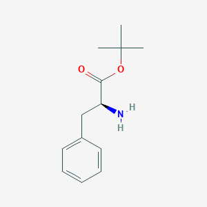 molecular formula C13H19NO2 B091979 (S)-tert-Butyl 2-amino-3-phenylpropanoate CAS No. 16874-17-2