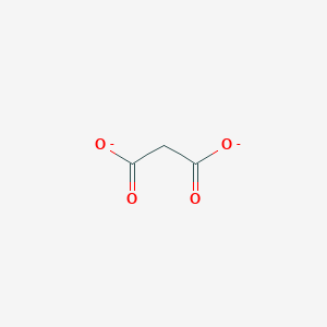 molecular formula C3H3O4(−)<br>C3H2O4-2 B093846 Malonate CAS No. 156-80-9