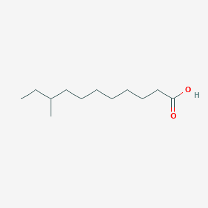 molecular formula C12H24O2 B093861 9-甲基十一酸 CAS No. 17001-17-1