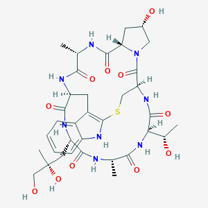 molecular formula C35H48N8O11S B094558 Phalloidin CAS No. 17466-45-4