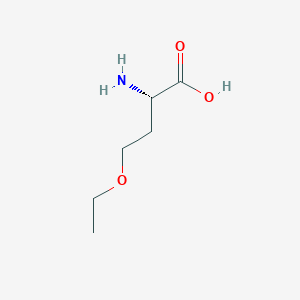 molecular formula C6H13NO3 B094861 2-Amino-4-ethoxybutanoic acid CAS No. 17268-93-8