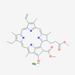 molecular formula C36H36MgN4O5 B095201 Methylchlorophyllide A CAS No. 15741-04-5
