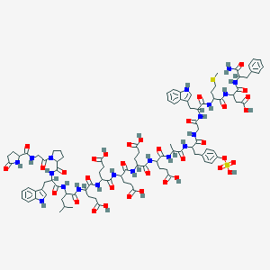 molecular formula C97H124N20O34S2 B096881 Pyr-gly-pro-trp-leu-glu-glu-glu-glu-glu-ala-tyr(SO3H)-gly-trp-met-asp-phe-NH2 CAS No. 19361-51-4