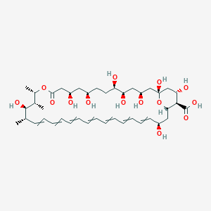 molecular formula C41H62O14 B009748 Amphoteronolide B CAS No. 106799-07-9