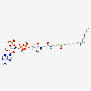 molecular formula C37H64N7O17P3S B097987 palmitoleoyl-CoA CAS No. 18198-76-0