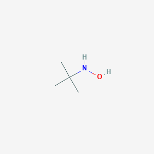 B099380 N-tert-Butylhydroxylamine CAS No. 16649-50-6