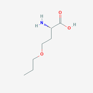 B099774 O-Propyl-L-homoserine CAS No. 18312-28-2