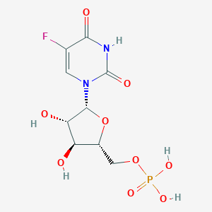 molecular formula C9H12FN2O9P B099895 Ara-fump CAS No. 17124-23-1